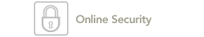 Online Security