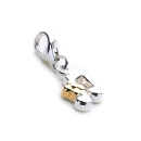 Melody Charm