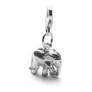 Indian Elephant Charm