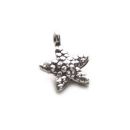 Starfish Charm Earring (Single)