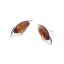 Tiger Eye Earrings