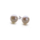 Pearly Studs (White)