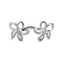 Doodle Daisy Studs
