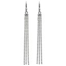 Silver Seine Earrings