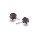 February Sparkle Studs