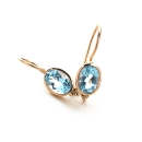 Maya Earrings Blue 9ct