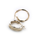 Twisted Edges Earrings