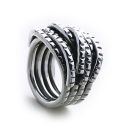 The Chariot Ring