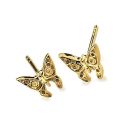 Little Wing Earrings (14ct Gold Plate)